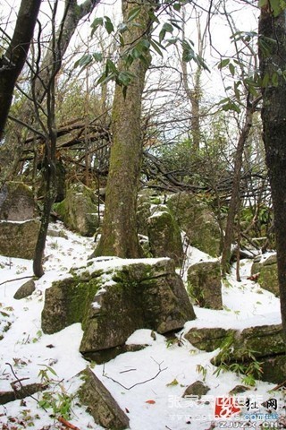 张家界：天门四月天 春雪云海齐露脸