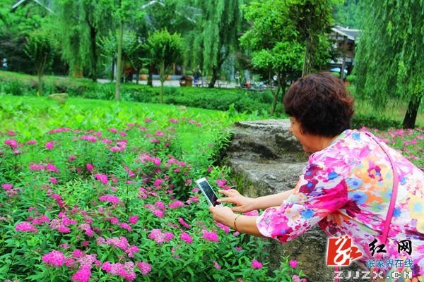 中国旅游日：张家界黄龙洞广场“花花世界”喜迎游人（组图）