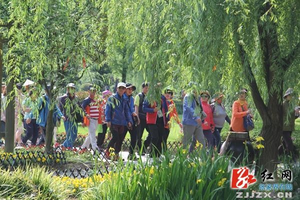 中国旅游日：张家界黄龙洞广场“花花世界”喜迎游人（组图）