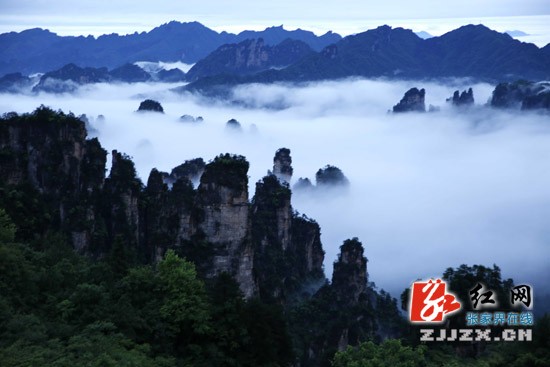 张家界武陵源：雨后云海飘渺奇美如幻（图）