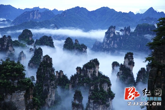 张家界武陵源：雨后云海飘渺奇美如幻（图）