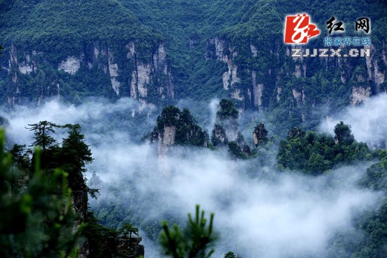 张家界武陵源：雨后云海飘渺奇美如幻（图）