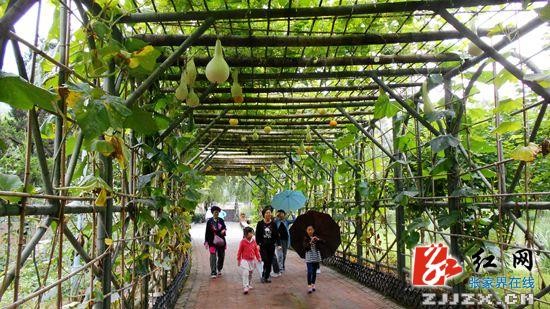 八方游客盛赞张家界黄龙洞景区种出来的七彩风景